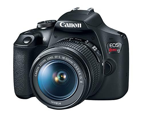 Canon EOS Rebel T7 DSLR Camera with Built-in Wi-Fi